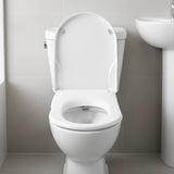 Non Electric Bidet Toilet Seat W/ Cover Bathroom Spray Water Wash