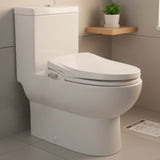 Non Electric Bidet Toilet Seat W/ Cover Bathroom Spray Water Wash - 45-Degree Angle