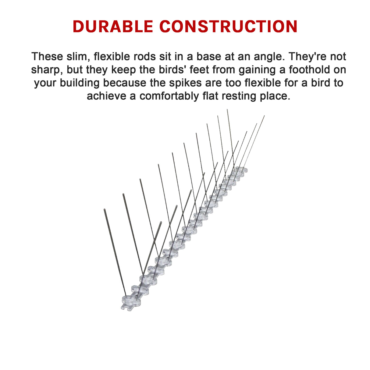 20x 50cm Bird Spike S304 wire Spikes Eaves Pigeon Gull Starling 10M