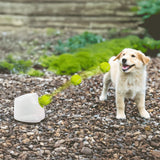 Dog Ball Launcher Thrower Automatic Tennis Fetch Throwing Machine 3 Balls - Rear View