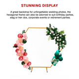 2M Wedding Hex Arch Backdrop Flower Display Stand Frame Background - Close-Up Angle