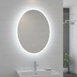 Oval Mirror LED Anti-Fog Illuminated Bathroom Living Room