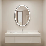 Oval Mirror LED Anti-Fog Illuminated Bathroom Living Room