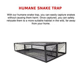 Humane Snake Trap Remove Small to Medium Snakes 2 Doors - Low Angle
