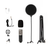 Professional Condenser Microphone USB Voice & Music Cantilever Bracket Set - Rear View