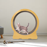 Cat Running Wheel w/ Carpet Runway Cat Exercise Wheel for Fitness Cat Treadmill
