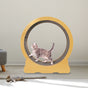Cat Running Wheel w/ Carpet Runway Cat Exercise Wheel for Fitness Cat Treadmill