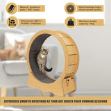 Cat Running Wheel w/ Carpet Runway Cat Exercise Wheel for Fitness Cat Treadmill - Rear View