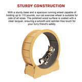 Cat Running Wheel w/ Carpet Runway Cat Exercise Wheel for Fitness Cat Treadmill - Close-Up Angle