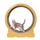 Cat Running Wheel w/ Carpet Runway Cat Exercise Wheel for Fitness Cat Treadmill - Extra Image