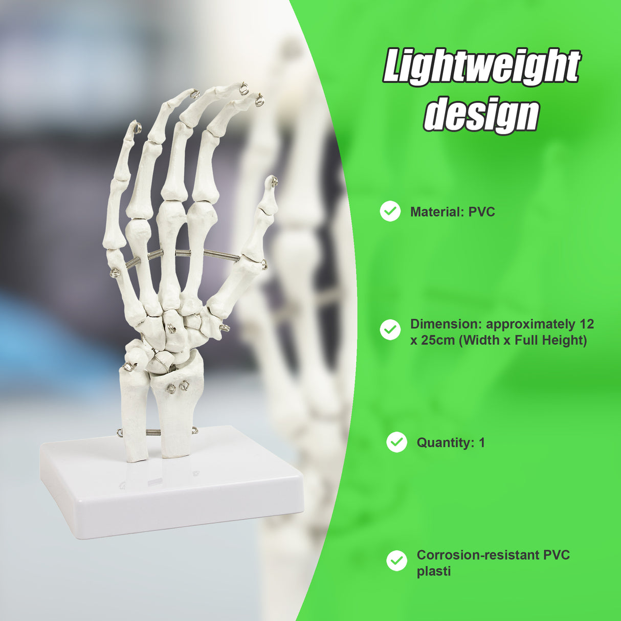 Hand Joint Anatomical Skeleton Model Human Anatomy Study Tool