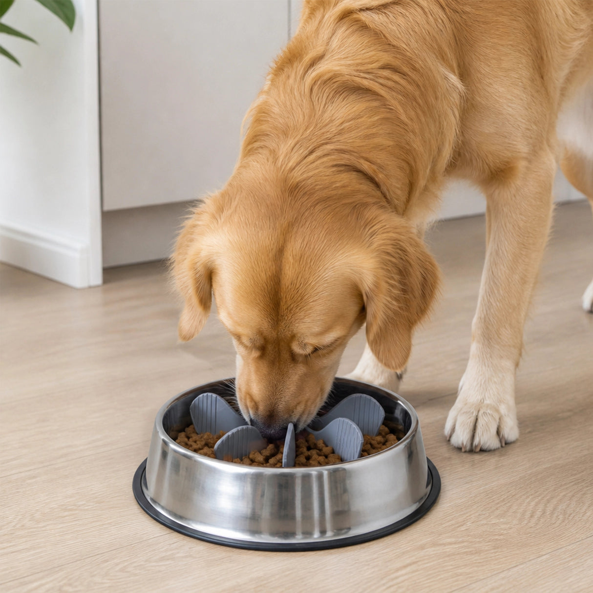 2x Dog Bowl Slow Feeder Insert