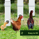 Chicken Bird Feeder Water Dispenser Automatic Waterer Poultry Food Drinker 4L - Rear View