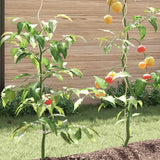 5 pcs Spiral Plant Supports 110 cm Galvanised Steel