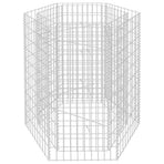 Hexagonal Gabion Raised Bed 100x90x100 cm