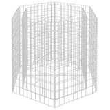 Hexagonal Gabion Raised Bed 100x90x100 cm