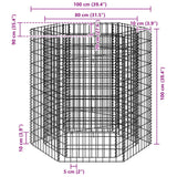 Hexagonal Gabion Raised Bed 100x90x100 cm