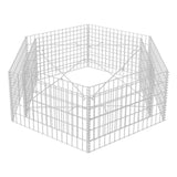 Hexagonal Gabion Raised Bed 160x140x50 cm