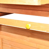 Chicken Coop Wood 295x163x170 cm - 45-Degree Angle