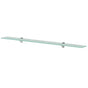 Floating Shelf Glass 100x10 cm 8 mm
