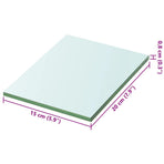 Shelf Panel Glass Clear 20x15 cm