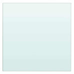 Shelf Panel Glass Clear 20x20 cm