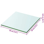 Shelf Panel Glass Clear 20x20 cm