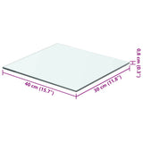 Shelf Panel Glass Clear 40x30 cm