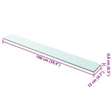 Shelf Panel Glass Clear 100x12 cm