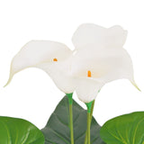 Artificial Calla Lily Plant with Pot 45 cm White - Front View