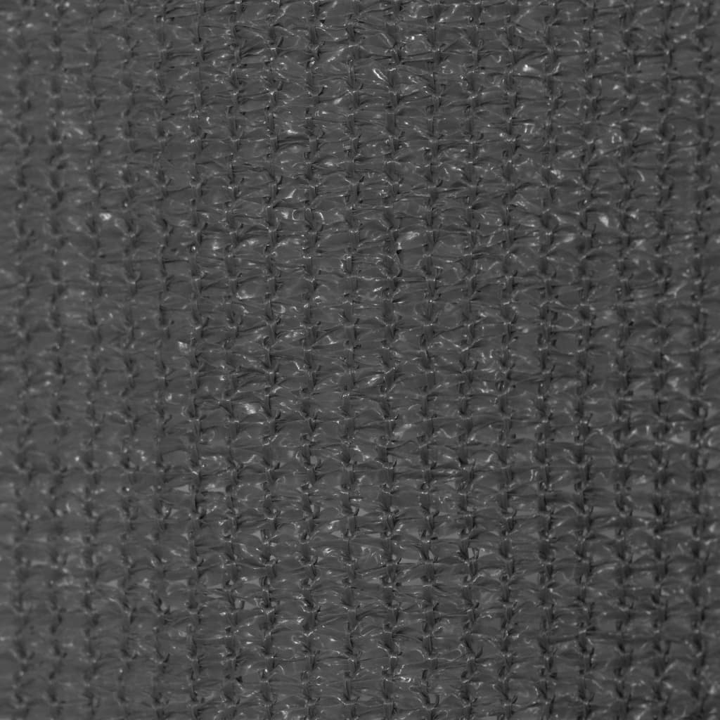 Outdoor Roller Blind 225(W)x140(H) cm Anthracite
