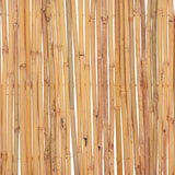Bamboo Fence 500x50 cm