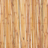 Bamboo Fence 500x50 cm - Close-Up Angle