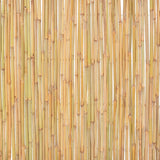 Bamboo Fence 300x100 cm