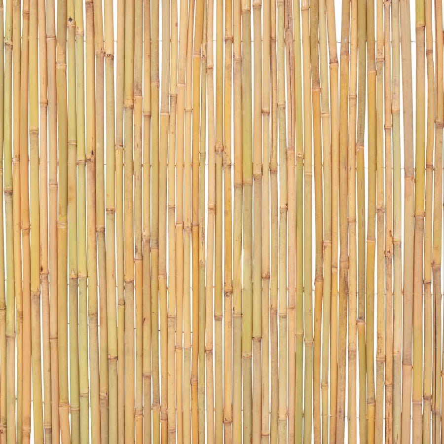 Bamboo Fence 300x100 cm