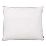 Pillows 2 pcs Down/Feather Filling Heavy 70x60 cm White - Front View
