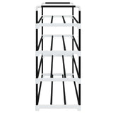 Shoe Rack with 4 Shelves Metal and Plastic Black