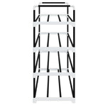 Shoe Rack with 4 Shelves Metal and Plastic Black