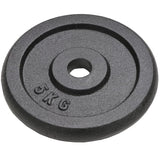 Weight Plates 4 pcs 4x5 kg Cast Iron - Front View