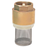 Suction Hose with Brass Connectors 7 m 25 mm Green - Close-Up Angle