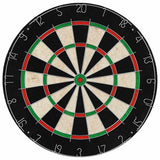 Professional Sisal Dartboard with 6 Darts