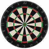 Professional Sisal Dartboard with 6 Darts - Front View