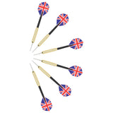 Professional Sisal Dartboard with 6 Darts and Surround - 45-Degree Angle