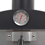 Charcoal Fired Outdoor Pizza Oven with Fireclay Stone - Close-Up Angle