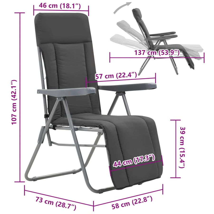 Folding Chairs with Cushions 2 pcs Grey