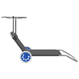 Folding Sun Lounger with Canopy and Wheels Steel Grey
