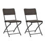 Folding Chairs 2 pcs HDPE and Steel Brown