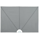 Collapsible Terrace Side Awning Grey 300x200 cm