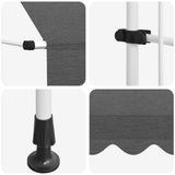 Manual Retractable Awning 300 cm Anthracite