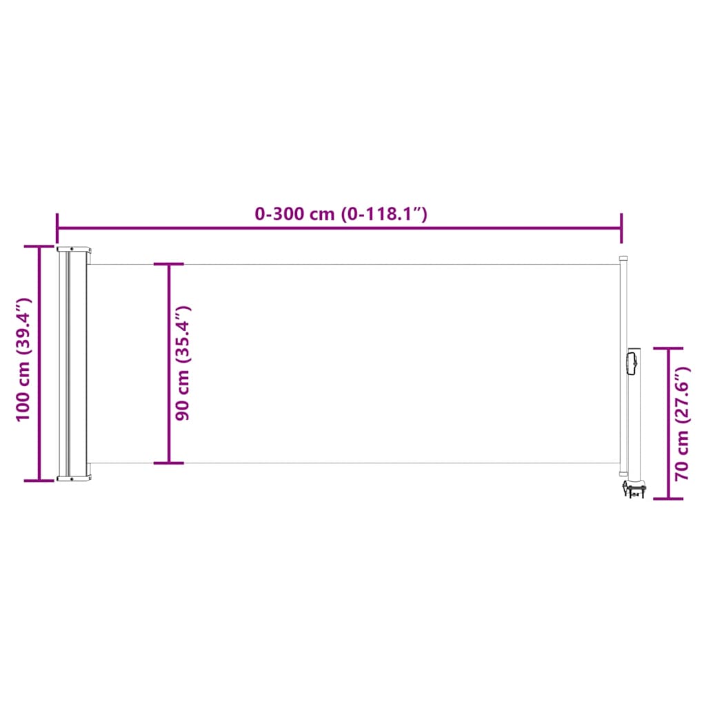 Patio Retractable Side Awning 100 x 300 cm Black